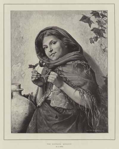 El joven botánico de Antonio Rotta